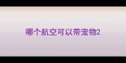哪个航空可以带宠物