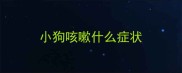 小狗咳嗽什么症状