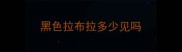 黑色拉布拉多少见吗