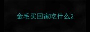 金毛买回家吃什么