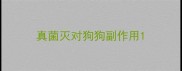 真菌灭对狗狗副作用