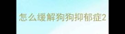 怎么缓解狗狗抑郁症