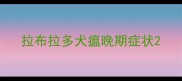 拉布拉多犬瘟晚期症状