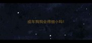 成年狗狗会得细小吗