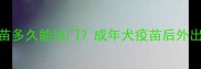 打完疫苗多久能出门成年犬疫苗后外出全攻略