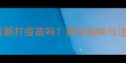 狗狗可以重新打疫苗吗科学指南与注意事项全