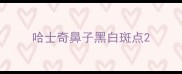 哈士奇鼻子黑白斑点