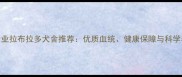 长岛专业拉布拉多犬舍推荐优质血统健康保障与科学养育全