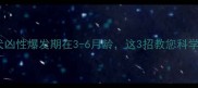 警惕土猎犬凶性爆发期在3-6月龄这3招教您科学驯服小恶魔