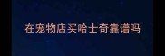 在宠物店买哈士奇靠谱吗