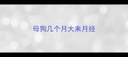 母狗几个月大来月经
