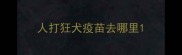 人打狂犬疫苗去哪里