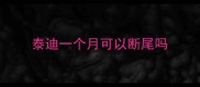 泰迪一个月可以断尾吗