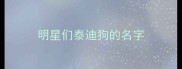 明星们泰迪狗的名字