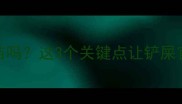 猫咪感冒后必须打疫苗吗这3个关键点让铲屎官秒懂疫苗接种全攻略