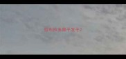拉布拉多鼻子发干