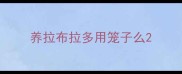 养拉布拉多用笼子么