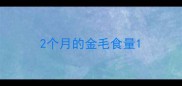 2个月的金毛食量