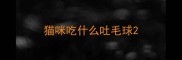 猫咪吃什么吐毛球