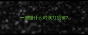一般猫什么时候打疫苗