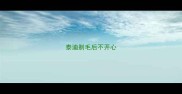 泰迪剃毛后不开心