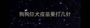 狗狗狂犬疫苗要打几针