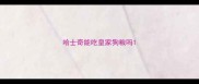 哈士奇能吃皇家狗粮吗