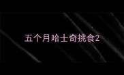 五个月哈士奇挑食