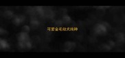 可爱金毛幼犬纯种
