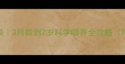 猫咪成年时间表3月龄到2岁科学喂养全攻略附成长对比图