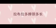 拉布拉多脖颈多长