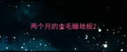 两个月的金毛睡地板