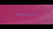 佳木斯卖泰迪转让泰迪