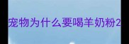 宠物为什么要喝羊奶粉