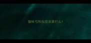猫咪弓形虫疫苗要打么