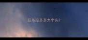 拉布拉多多大个头