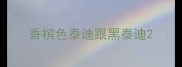 香槟色泰迪跟黑泰迪