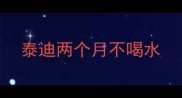 泰迪两个月不喝水