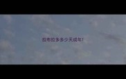 拉布拉多多少天成年
