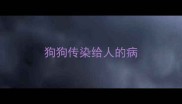 狗狗传染给人的病
