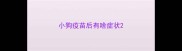 小狗疫苗后有啥症状