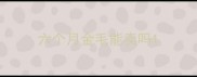 六个月金毛能卖吗