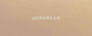 边牧耳朵用什么药