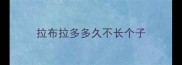 拉布拉多多久不长个子