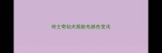 哈士奇幼犬脱胎毛颜色变浅