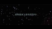 宠物猫身上都有跳蚤吗