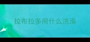 拉布拉多用什么洗澡