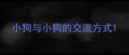 小狗与小狗的交流方式