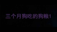 三个月狗吃的狗粮