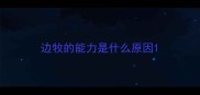 边牧的能力是什么原因